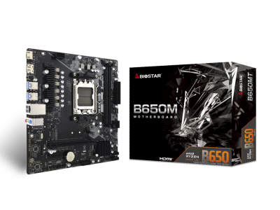 Motherboard BIOSTAR B650MT